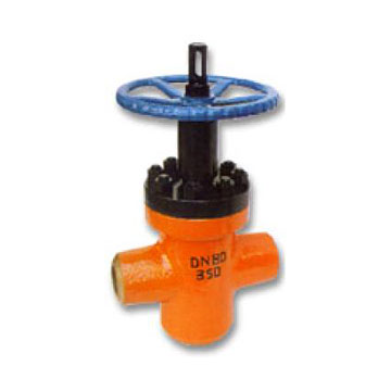  Oil Field Gate Valve (Oil Field Schieber)