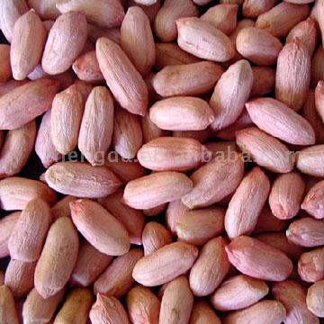  Peanut Kernels (Arachides décortiquées)