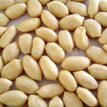  Blanched Peanut Kernels (Blanchiert Erdnusskerne)