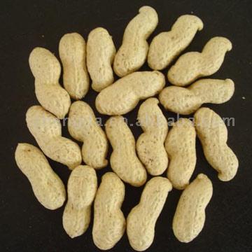  Peanuts In Shells (Arachides dans les réservoirs)