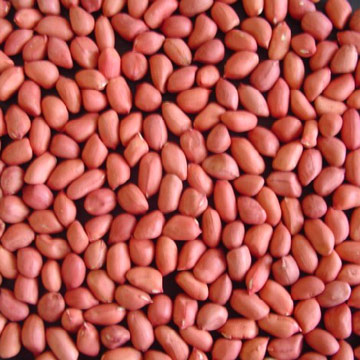  Red Skin Peanuts (Покраснение кожи Арахис)