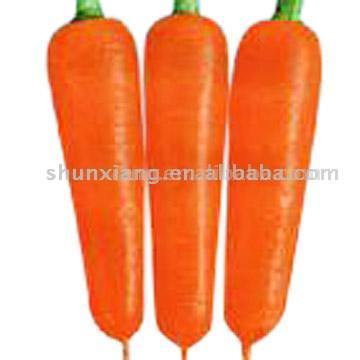  Top Selected Carrot (Топ Выбранный Морковь)