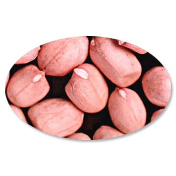  Four-Red-Skin Peanuts (Quatre-Red-Skin Peanuts)