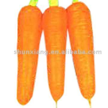  Top Selected Carrots (Haut Carottes sélectionnés)