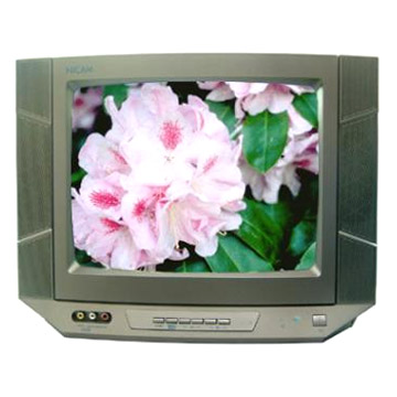  14" Color Television (14 "Télévision Couleur)