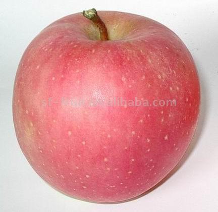 Roter Fuji Apple (Roter Fuji Apple)