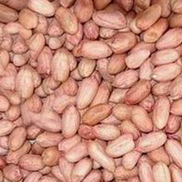 Peanuts (Peanuts)