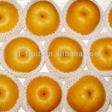 Birnen (Xinxing) (Birnen (Xinxing))