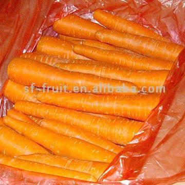  Carrot ( Carrot)