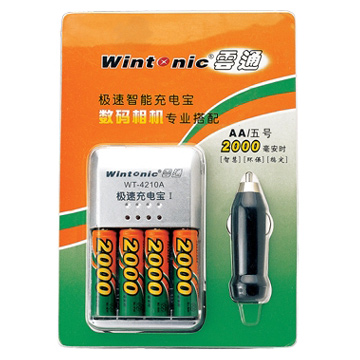  Charger (Ladegerät)