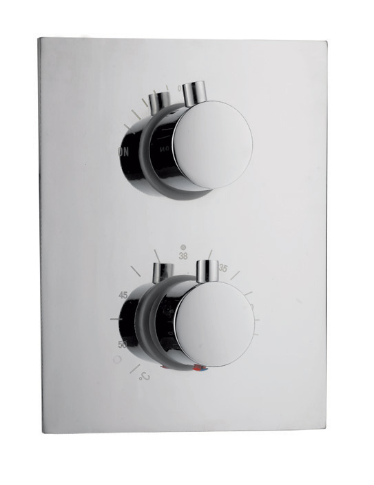  Thermostatic Shower Mixer ( Thermostatic Shower Mixer)