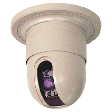  P/T/Z Dome Camera ( P/T/Z Dome Camera)