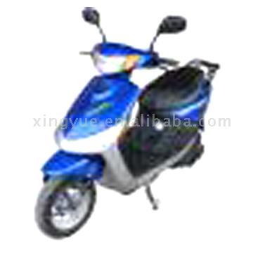  Electric Bike ( Electric Bike)