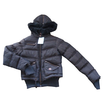  Women`s Winter Jacket ( Women`s Winter Jacket)