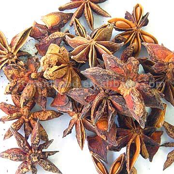  Star Aniseeds (Звезда Anis ds)