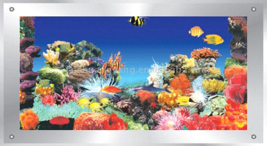  Aquarium Frame Picture ( Aquarium Frame Picture)