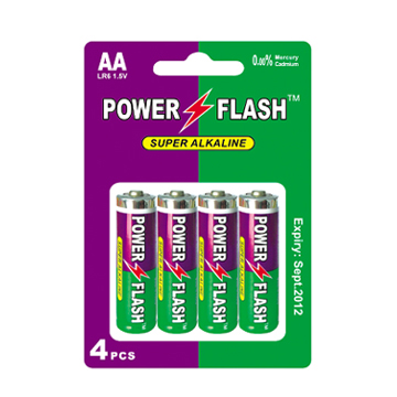  AA Alkaline Batteries (LR6 AM-3) (Piles alcalines AA (LR6 AM-3))