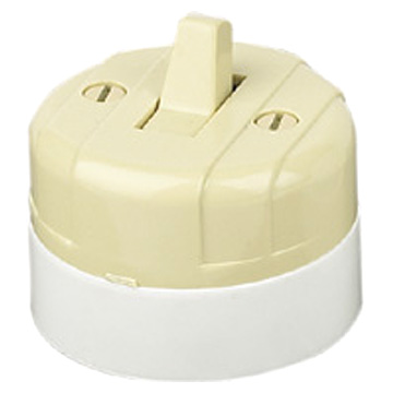  Plug ( Plug)
