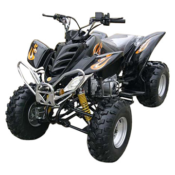  110CC EPA & CARB ATV Model (EPA und CARB 110CC ATV Model)