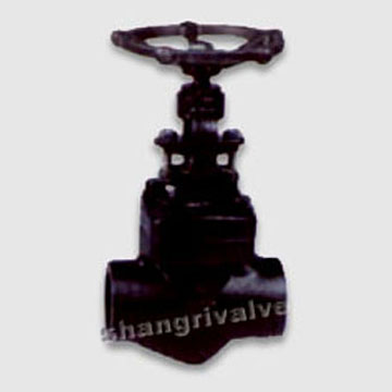  Globe Valve