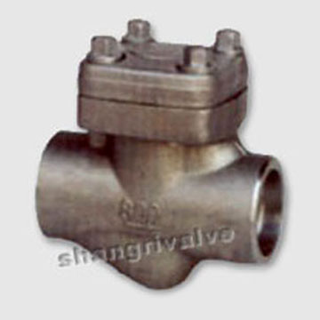  Check Valve
