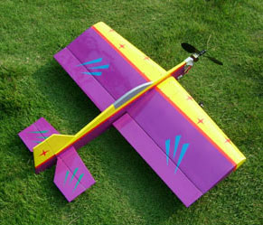 RC-Modellbau Flugzeug (RC-Modellbau Flugzeug)