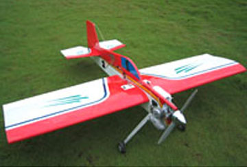 Radio Controlled Flugzeug (Radio Controlled Flugzeug)
