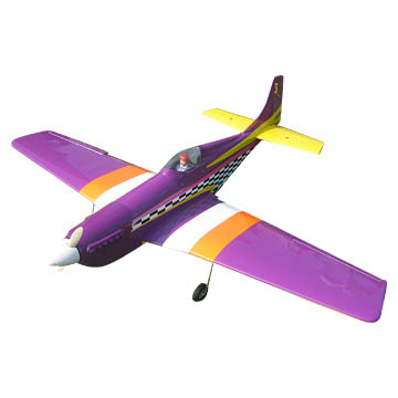 RC-Modellbau Flugzeug (RC-Modellbau Flugzeug)