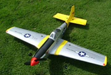 Radio Controlled Flugzeug (Radio Controlled Flugzeug)