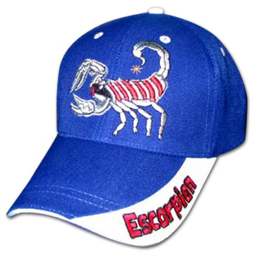  Baseball Cap ( Baseball Cap)