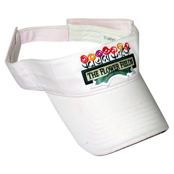  Sun Visor