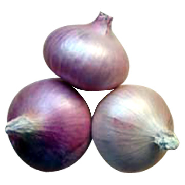  Onion (Лук)