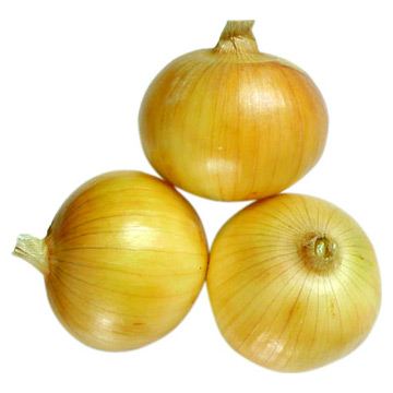  Onion (Лук)