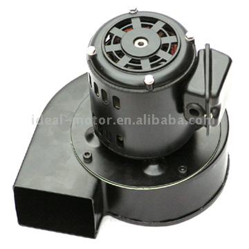  Blower ( Blower)