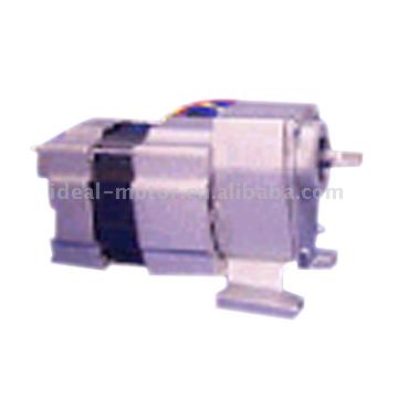  Gear Reducer Motor