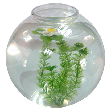  Plastic Fishbowl ( Plastic Fishbowl)