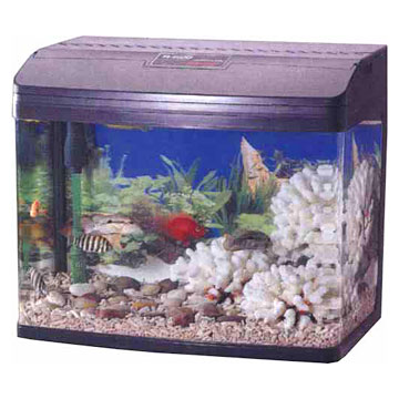  Fish Tank System (Fish Tank система)