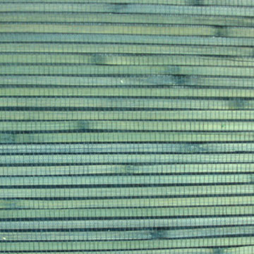Bamboo Weave (Bamboo Weave)