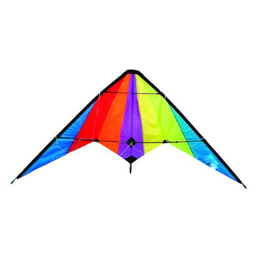  Dual Line Delta Stunt Kite (Dual Line Delta Stunt Kite)