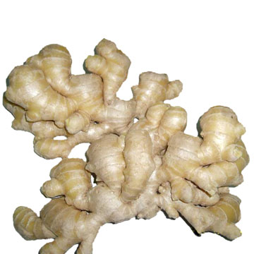  Fresh Ginger (Gingembre frais)