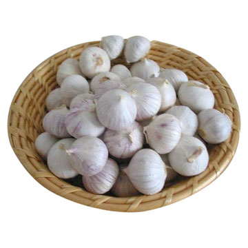  Solo Garlic (Individuel à l`ail)