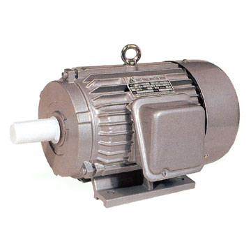  Three Phase Induction Motor ( Three Phase Induction Motor)