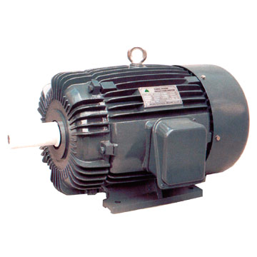  Three Phase Induction Motor ( Three Phase Induction Motor)