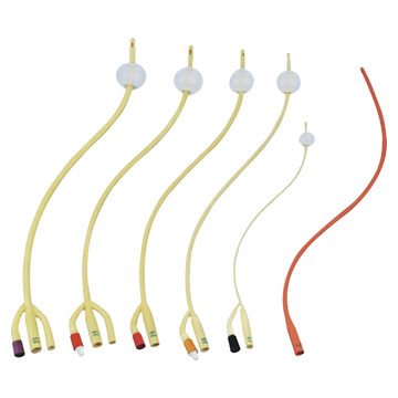  Foley Catheter ( Foley Catheter)