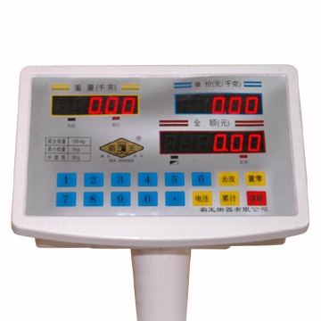 Electronic Scale (Electronic Scale)