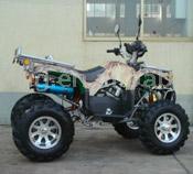 250er Wasserkühlung ATV (EWG Approved) (250er Wasserkühlung ATV (EWG Approved))