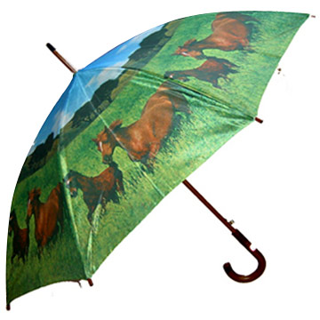  Satin Umbrella ( Satin Umbrella)