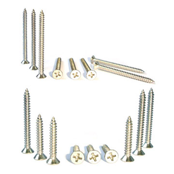  Tapping Screws (Taraudeuses)