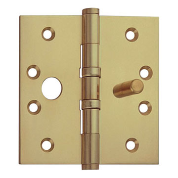  Brass Hinge (Brass Hinge)