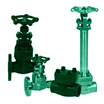  Forged Steel Valves